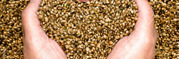 Can-Seed-Cycling-Ease-Menstrual-Symptoms-1